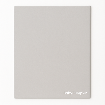 BabyPumpkin Quick Dry Sheet