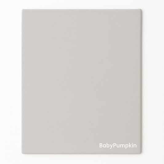 BabyPumpkin Quick Dry Sheet