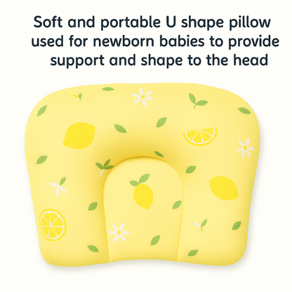 BabyPumpkin Mosquito Net