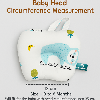 BabyPumpkin Mosquito Net
